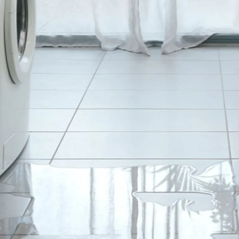 Appliance Leak Cleanup in Dimmit County, TX
