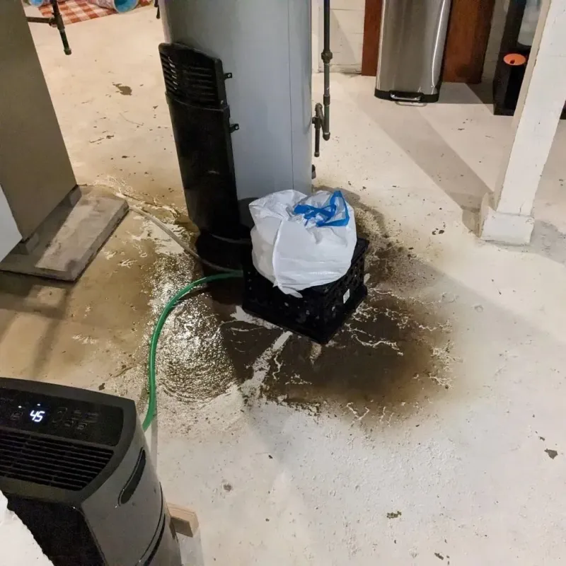 Sewage Backup Cleanup Service in Dimmit County, TX